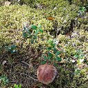 ���� ������, �����-���������, 70 ��� - ��������� 22 ������� 2016 � ������ ������ 2016�