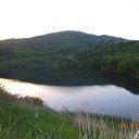 ���� �������, �����, 51 ��� - ��������� 29 ��� 2016 � ������ ������ ��������