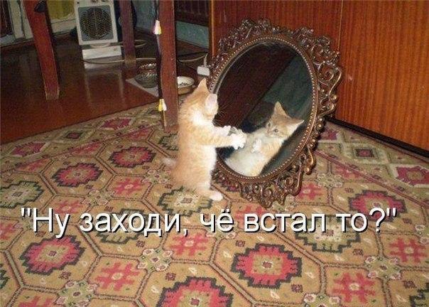    - 4  2016  13:15