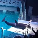 ���� ����, ������, 56 ��� - ��������� 20 ������� 2016 � ������ �����