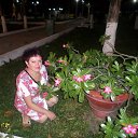 ���� �����, ���������, 65 ��� - ��������� 14 ���� 2016 � ������ ������ ��������