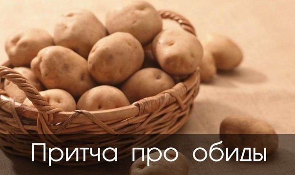 Притча про обиды.Ученик спросил учителя:— Ты такой мудрый. Ты всегда в хорошем настроении, никогда ...