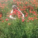 ���� Liliya, ������, 42 ���� - ��������� 22 ���� 2016 � ������ ���� ����������