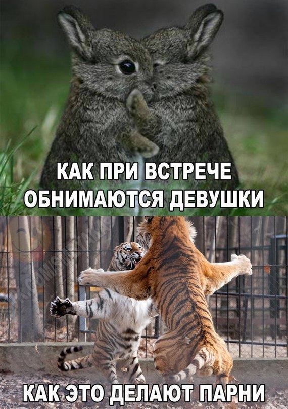     - 6  2016  23:40