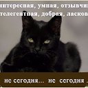 ���� �������, ������� - ��������� 13 ���� 2016 � ������ ���������� ������