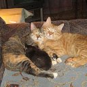 ���� �������, ������, 48 ��� - ��������� 9 �������� 2016 � ������ ���������� �����