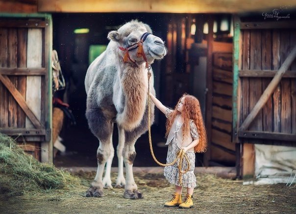    .#fineArt@https://fotostrana.ru/away?to=/sl/XE2 - 2