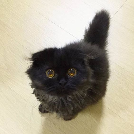  :-)