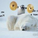 ���� ��������, ������, 51 ��� - ��������� 7 ��� 2016 � ������ ������ ��������