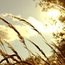 ���� ������, ������, 40 ��� - ��������� 10 ���� 2016 � ������ ����������� ��� ����� )�