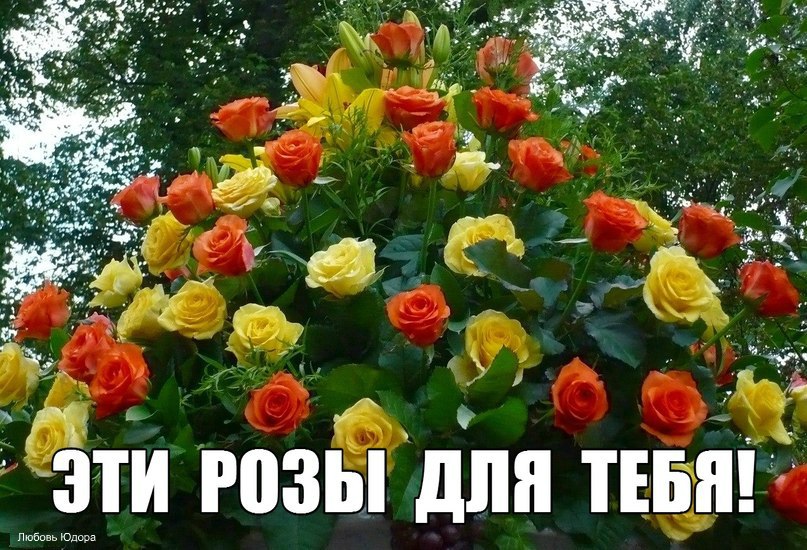    .  .      . , ...