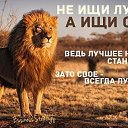 ���� ����, �������, 43 ���� - ��������� 28 ����� 2016 � ������ ������ ��������