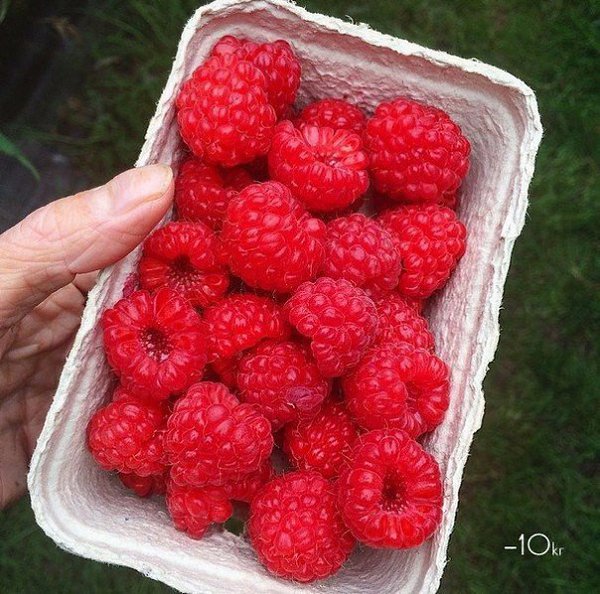 40     .      -  ...