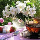 ���� ���������, ����, 61 ��� - ��������� 27 ���� 2016 � ������ ������ ��������