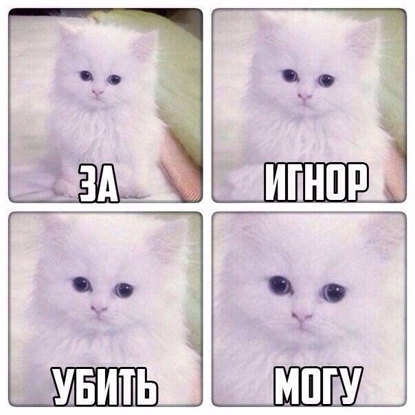    :D - 14  2016  02:31