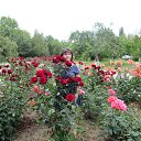 ���� �������, �����, 52 ���� - ��������� 26 ���� 2016 � ������ ���� ����������