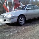 ���� ��������, �����, 36 ��� - ��������� 29 ������� 2016 � ������ ���� ����������