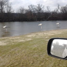 ����, ������