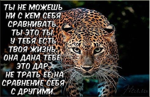 ***Victoria Viktorovna*** - 4  2016  14:35