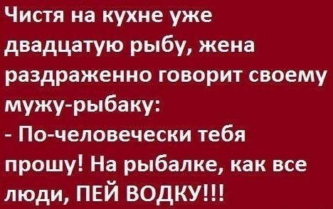   - 26  2016  18:58