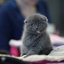 ���� ������, ������, 43 ���� - ��������� 29 ��� 2016 � ������ ���� ����������