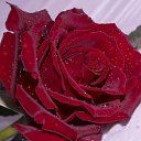  Anatoly, , 52  -  17  2016    