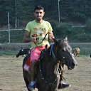  Saif, , 37  -  5  2016