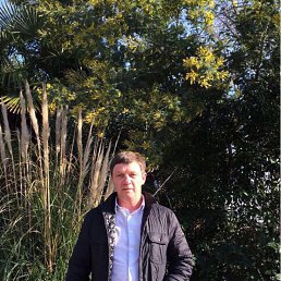 �������, ���������, 51 ���