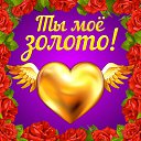 ���� �������, �������� - ��������� 21 ��� 2016 � ������ �������� ��������