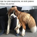  Yuliya, , 41  -  17  2016    