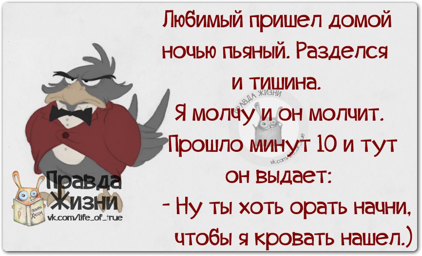 Приколы про жену. Смешные фразы про выходные. Смешные цитаты про корпоратив. Я пришла домой. Пришла домой ночью.