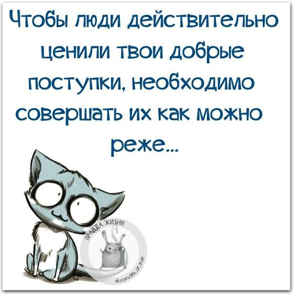 ������ ����� - 12 ����� 2016 � 19:43