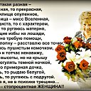 ���� ������..., ������, 55 ��� - ��������� 24 ������� 2016 � ������ ������ ��������