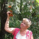 ���� ������, ������������, 56 ��� - ��������� 13 ������� 2016