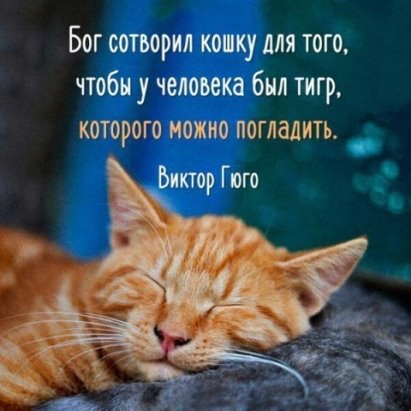 ***Victoria Viktorovna*** - 12  2016  14:24