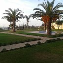 ���� �����, �������� - ��������� 22 ���� 2016 � ������ ���� ����������