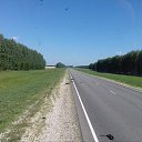  ., , 50  -  17  2016   ................