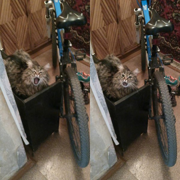 #_.     .        .   ...