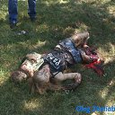 ���� ���������, �������, 51 ��� - ��������� 18 ������ 2016 � ������ ������ ��������