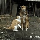 ���� ������, �������, 52 ���� - ��������� 19 ����� 2016 � ������ ������ ��������