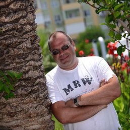 �������, ������, 46 ���