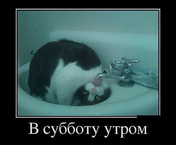  .fotostrana.ru/public/341821   