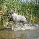 ���� �������, ������, 47 ��� - ��������� 4 ������� 2016 � ������ ���������