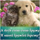 ���� ������, ��������, 57 ��� - ��������� 7 ������ 2016 � ������ �������� ��������