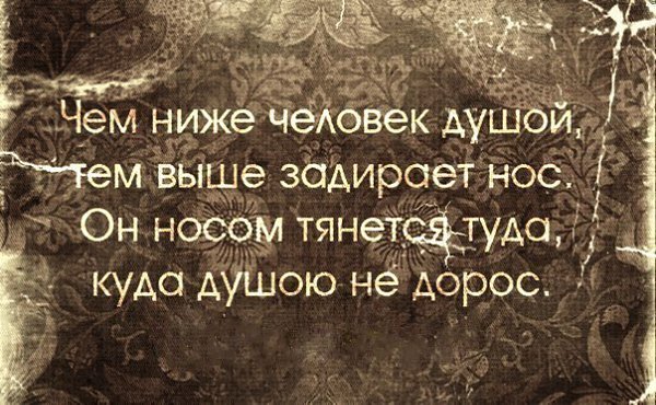   - 24  2016  09:59