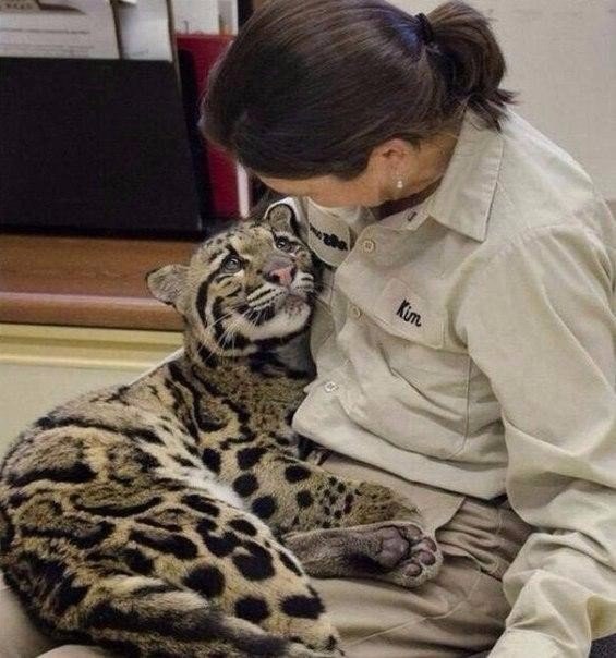     ... #animal@travel.blog