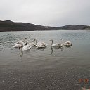 ���� �����, ���� - ��������� 28 ����� 2016 � ������ �������������� ����