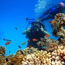 ���� Mmm, ��������������, 59 ��� - ��������� 18 ������ 2016 � ������ ������ ��������