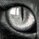 ���� ��� ����, ������� - ��������� 4 ������� 2016 � ������ ���� ����������