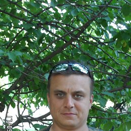 ������, ����, 48 ���